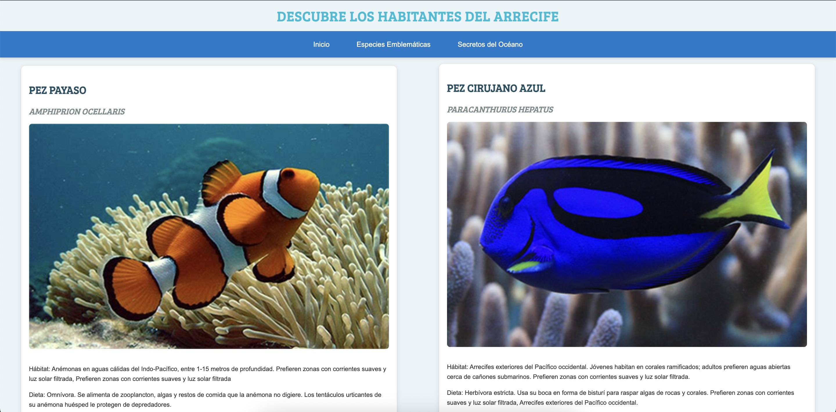 Html sobre el arrecife